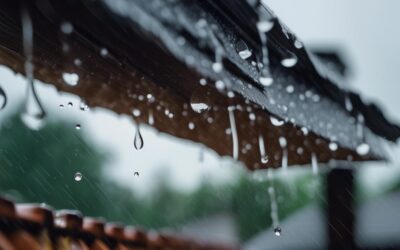 recherche fuite toiture agen